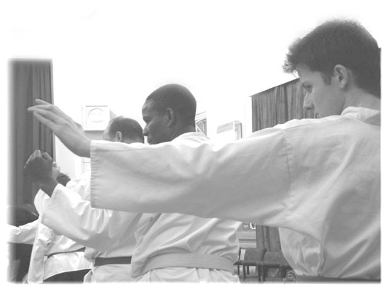 Martial Arts Clubs in Birmingham