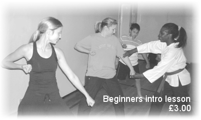 moseley goyararu martial arts class