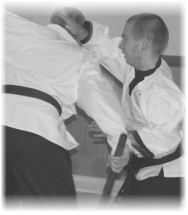 martial arts birmingham