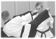 martial arts birmingham