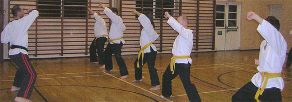 Goyararu martial Arts - Moseley 2006