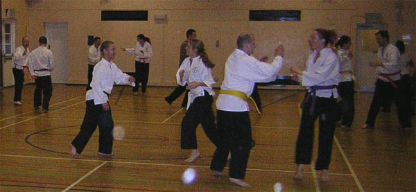 Goyararu martial Arts - Moseley 2006