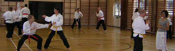 Goyararu martial Arts - Moseley Club