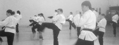 Goyararu martial Arts