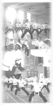 Goyararu Martial Arts Training