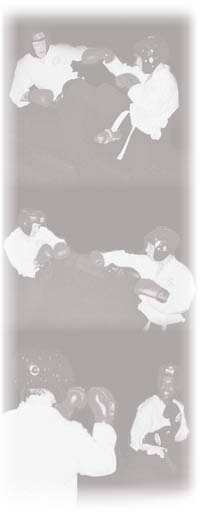 martial arts birmingham west midlands
