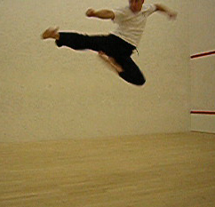 Flying side kick.jpg