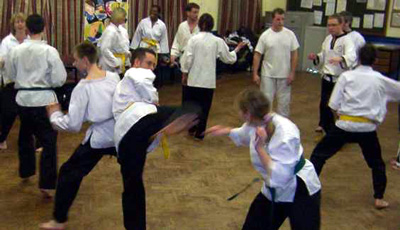 freestyle3.jpg
