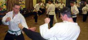 freestyle4.jpg