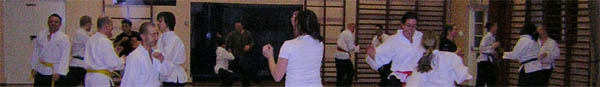 Goyararu martial Arts - Moseley 2006