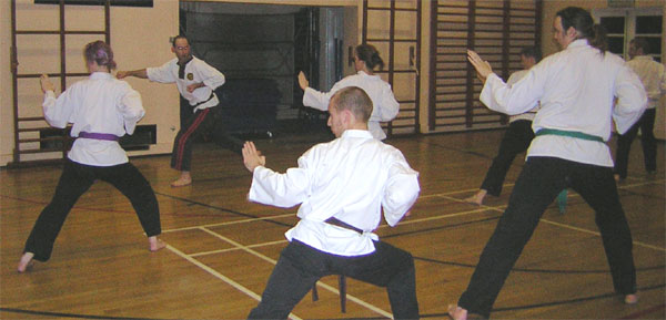 Goyararu martial Arts - Moseley 2006