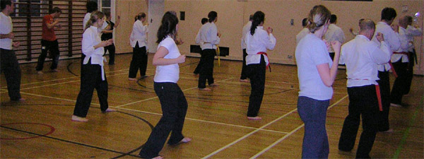 Goyararu martial Arts - Moseley 2006