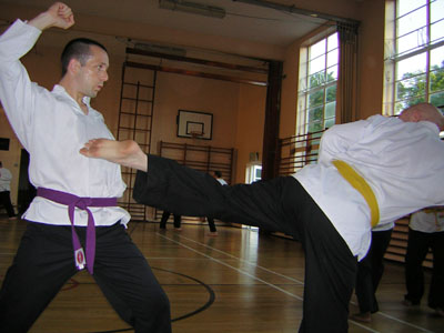freestyle1.jpg