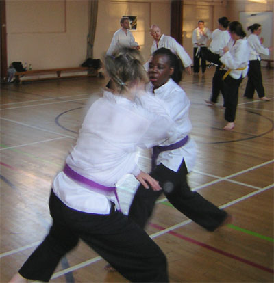 freestyle2.jpg