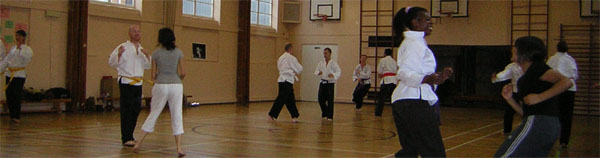 Goyararu martial Arts - Moseley Club