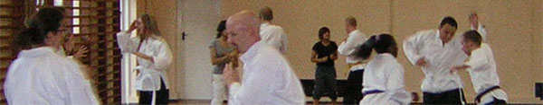 Goyararu martial Arts - Moseley Club