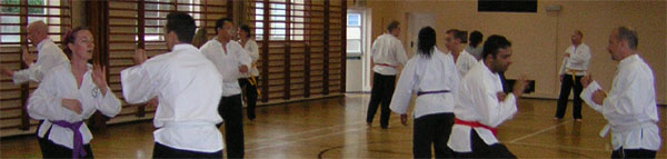 Goyararu martial Arts - Moseley Club