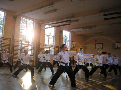 karate drills.jpg